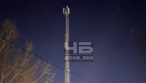 Барнаульцы поддались радиофобии из-за появления сотовой вышки во дворе