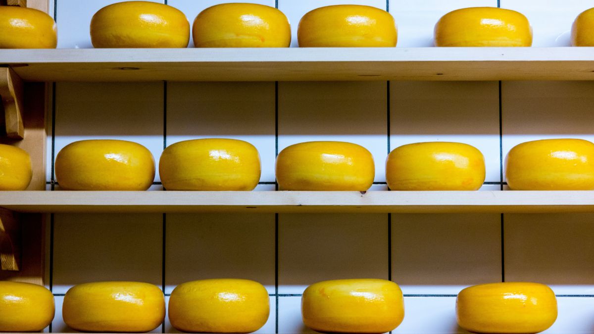 Сыр. Производство