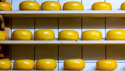 В Алтайском крае рабочие выносили сыр с завода и продавали через знакомых