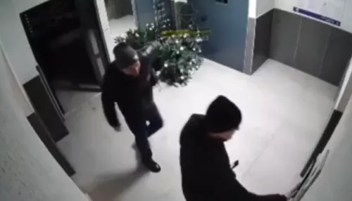 Силовики задержали хулигана, который повалил елку в подъезде Барнаула