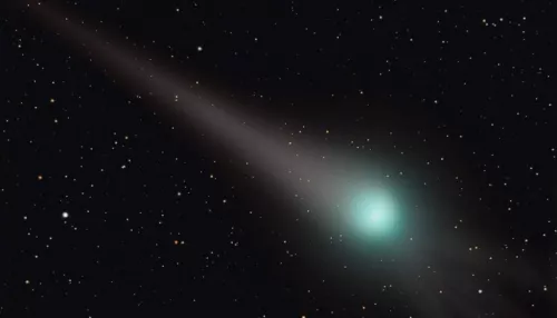 Барнаульцы ночью смогут увидеть комету Цзыцзиньшань