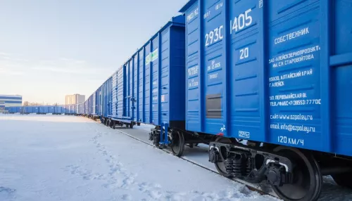 Алтайские мукомолы вынуждены простаивать из-за пробки на железной дороге