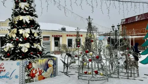 В Барнауле к 3 февраля уберут последние новогодние украшения