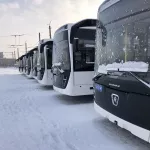 Первые девять новых автобусов большой вместимости прибыли в Барнаул