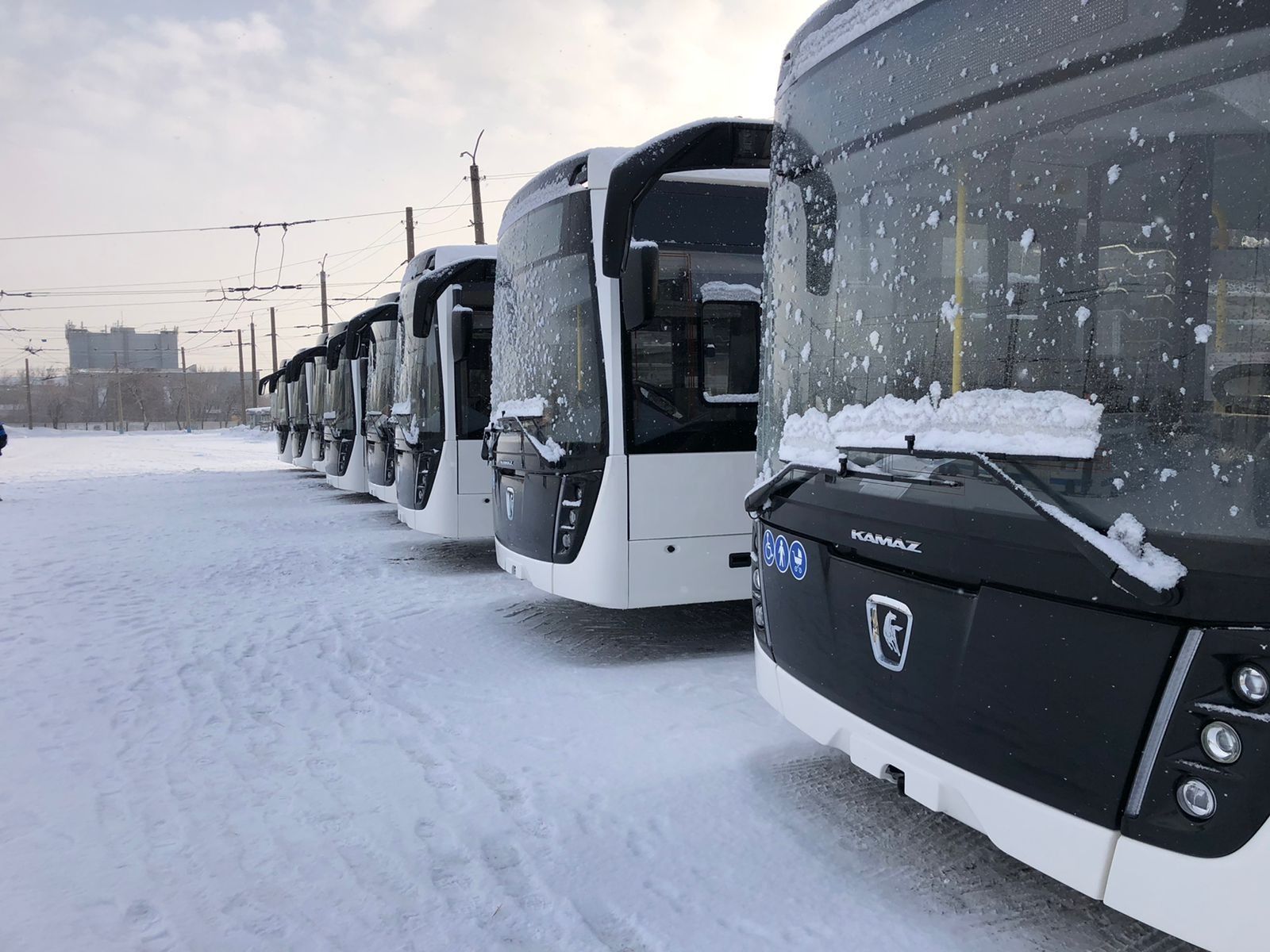 На каких маршрутах в Барнауле появятся новые автобусы - Толк 11.03.2024