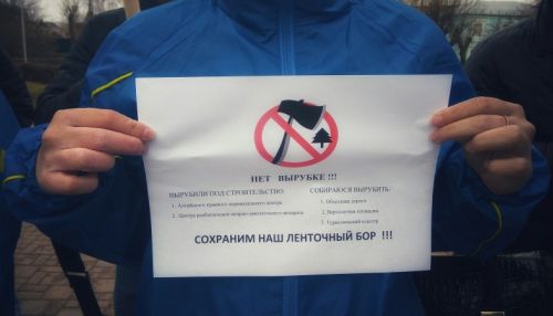 ЛДПР и общественники города вышли на пикет против рубки леса в Барнауле