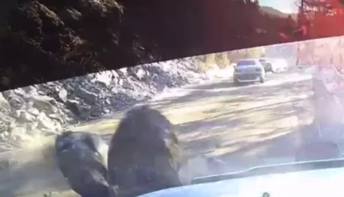 В Горном Алтае камнепад повредил проезжающий автомобиль