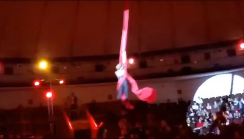 Падение воздушной гимнастки на шоу в Новокузнецке попало на видео