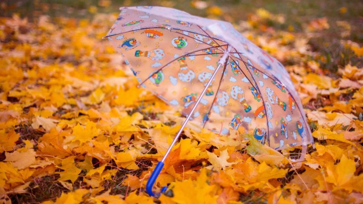 Снег, дождь и порывистый ветер ожидаются 21 октября на Алтае