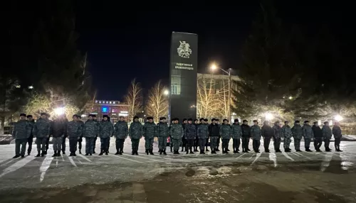 В Алтайском крае полицейские вернулись из полугодовой командировки на Кавказ. Фото