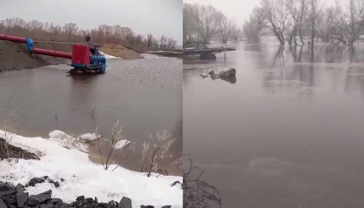 Село Краснощеково в Алтайском крае топит талая вода с полей - Толк  10.02.2024