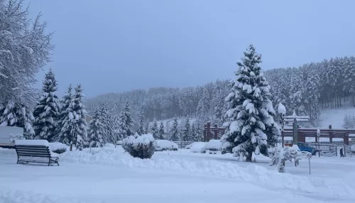 Снегопад превратил Белокуриху в белую сказку. Фоторепортаж