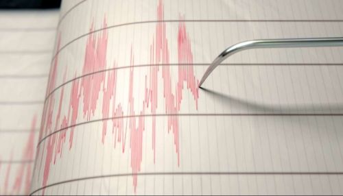 Два мощных землетрясения встряхнули побережье Канады