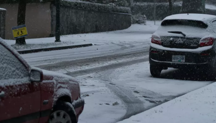 Названы мужские имена, которые чаще всего встречаются в сводках ДТП