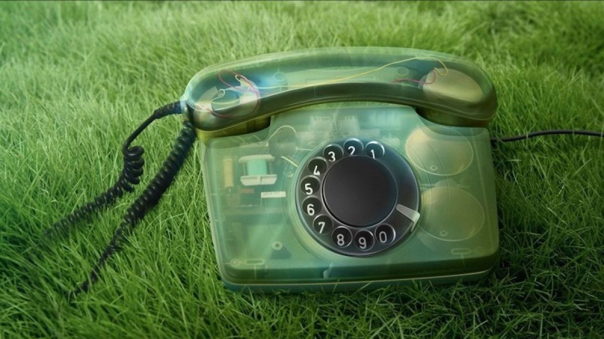 Барнаульцы могут сообщить о незаконных свалках – работает "зеленый телефон"