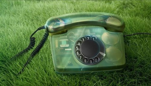 Барнаульцы могут сообщить о незаконных свалках – работает зеленый телефон
