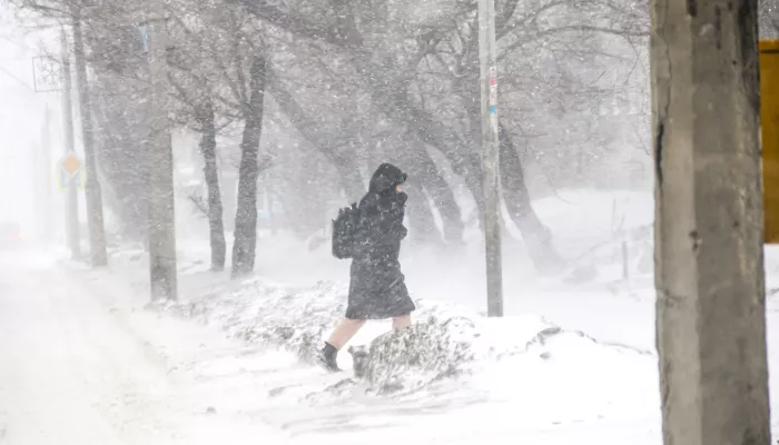 Февральские дожди и ветер: Алтайский край продолжает штормить