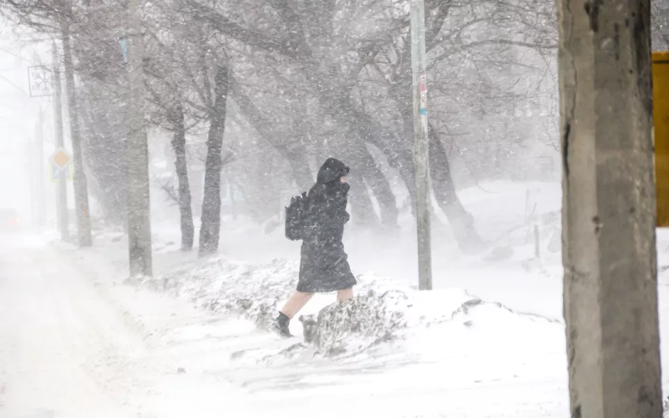 Февральские дожди и ветер: Алтайский край продолжает штормить