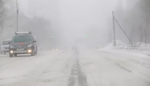 Штормовая погода в Алтайском крае: потепление принесет снег с дождем и ветром