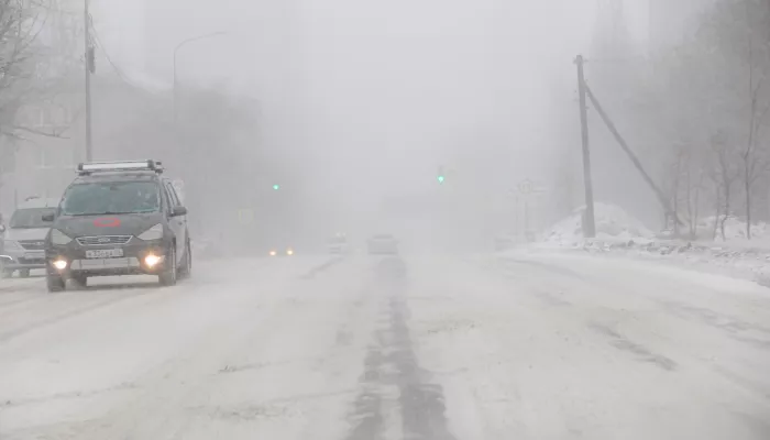 Штормовая погода в Алтайском крае: потепление принесло снег с дождем и ветром