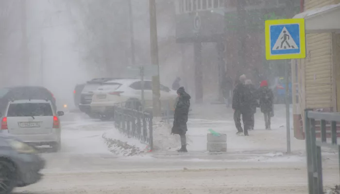 Мокрый снег с ветром, метели и гололед: Алтайский край 21 ноября накрыла непогода