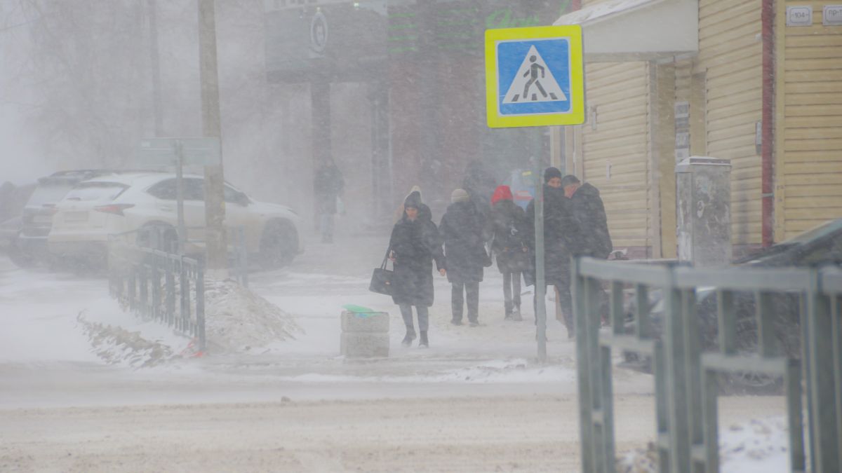 Метель и штормовой ветер в Барнауле