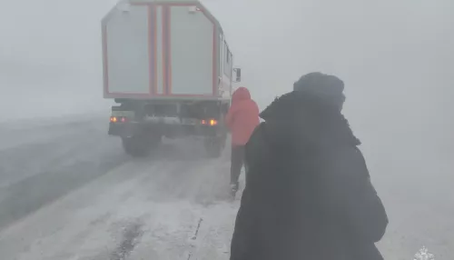 Унесенные в кювет. Алтайские автомобилисты показали, что творится на трассах в метель