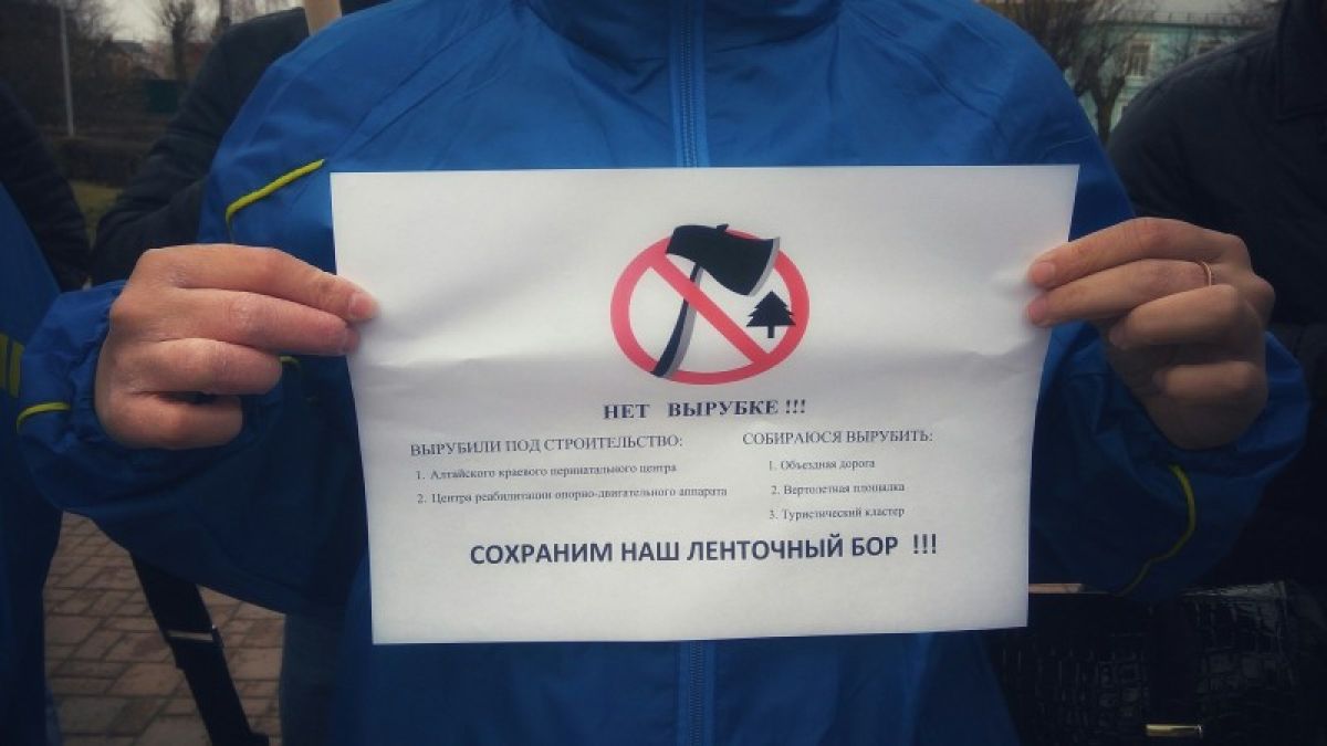 Акция против вырубки ленточного бора пройдет 24 октября в Барнауле