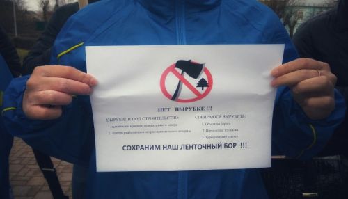 Акция против вырубки ленточного бора пройдет 24 октября в Барнауле