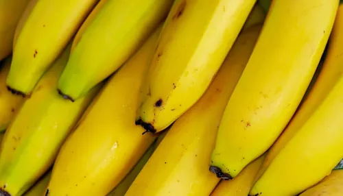В Петербурге в контейнерах с бананами нашли 11 килограммов кокаина