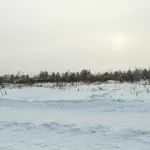 Роковой квартал: многострадальный пустырь на окраине Барнаула отдали под застройку