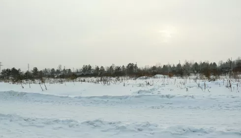 Аукцион щедрости: уцененный пустырь размером с квартал выставили на торги в Барнауле