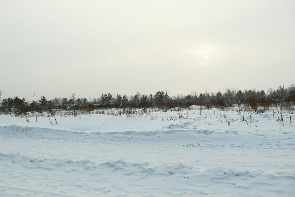 Участок квартала 2012 со стороны улицы Власихинской. Февраль 2024 года