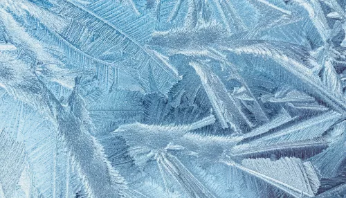 В Алтайском крае ожидается пик лютых морозов до -41 градуса