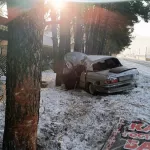 19-летний житель Алтая на Волге влетел в дерево возле кафе