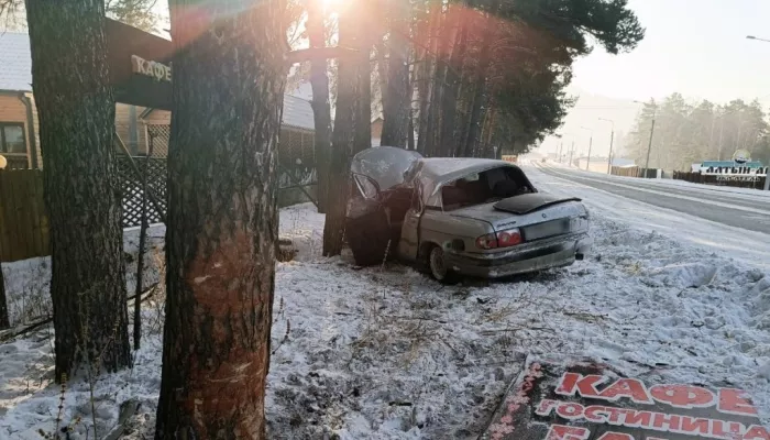 19-летний житель Алтая на Волге влетел в дерево возле кафе
