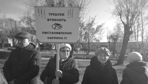 Пикет против вырубки алтайского леса прошел 24 октября в Барнауле
