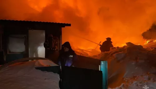 В алтайском селе из-за высыпанной у дома печной золы вспыхнул крупный пожар