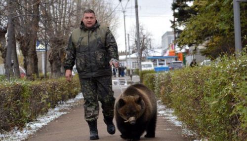 Медведь прогулялся по улицам алтайского села Михайловское