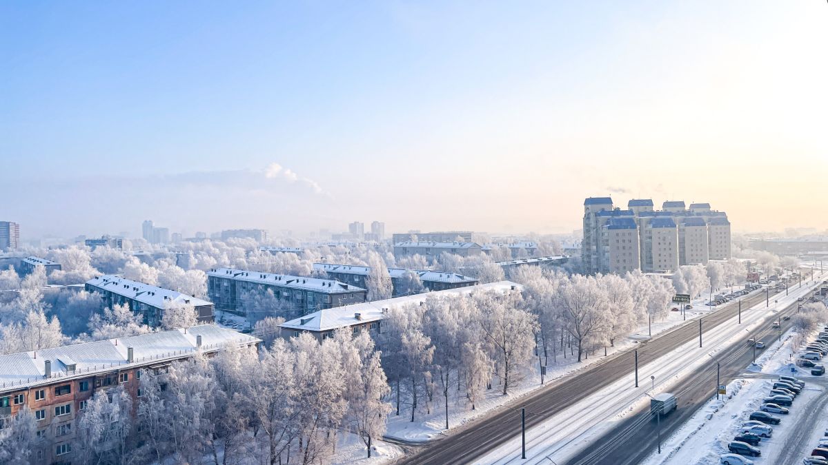 Зима в Барнауле, изморозь на деревьях