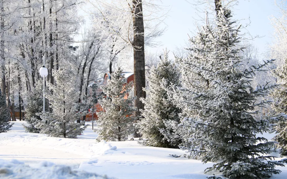 Стал известен предварительный прогноз погоды на январь в Алтайском крае
