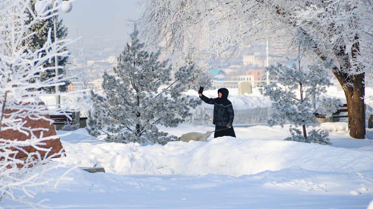 Зима в Барнауле, изморозь на деревьях