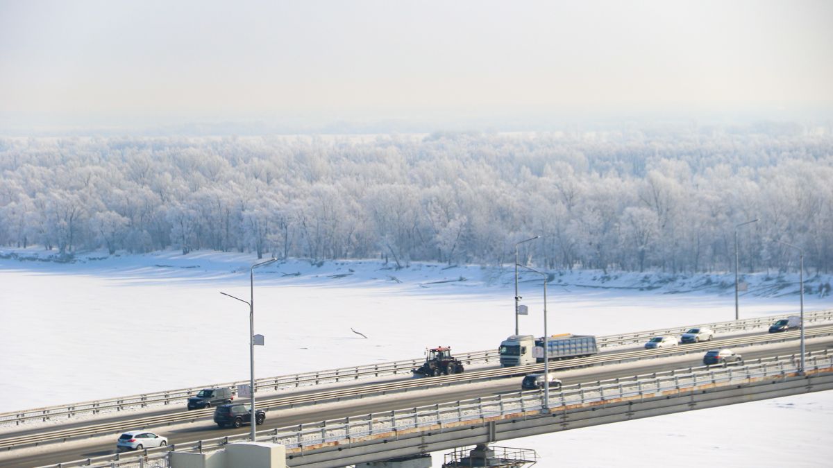 Зима в Барнауле, изморозь на деревьях