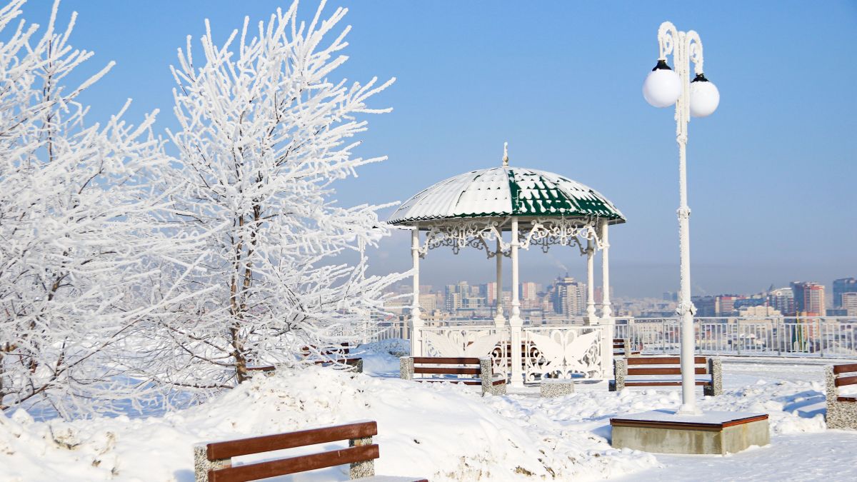 Зима в Барнауле, изморозь на деревьях