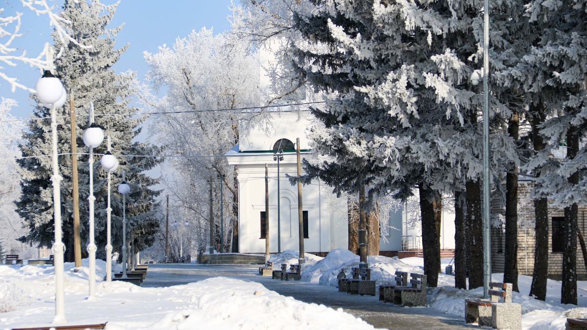 Зима в Барнауле, изморозь на деревьях