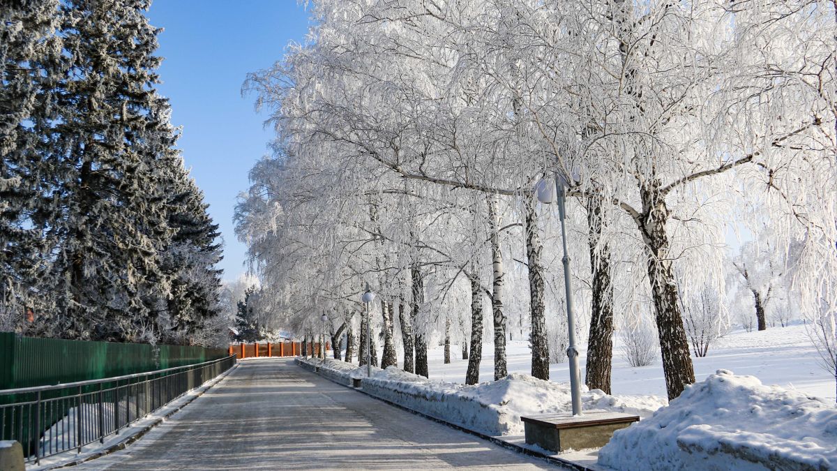 Зима в Барнауле. Снег. Погода.