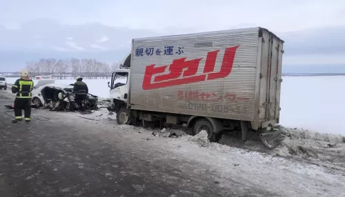 Два человека погибли в ДТП с грузовиком на трассе в Павловском районе
