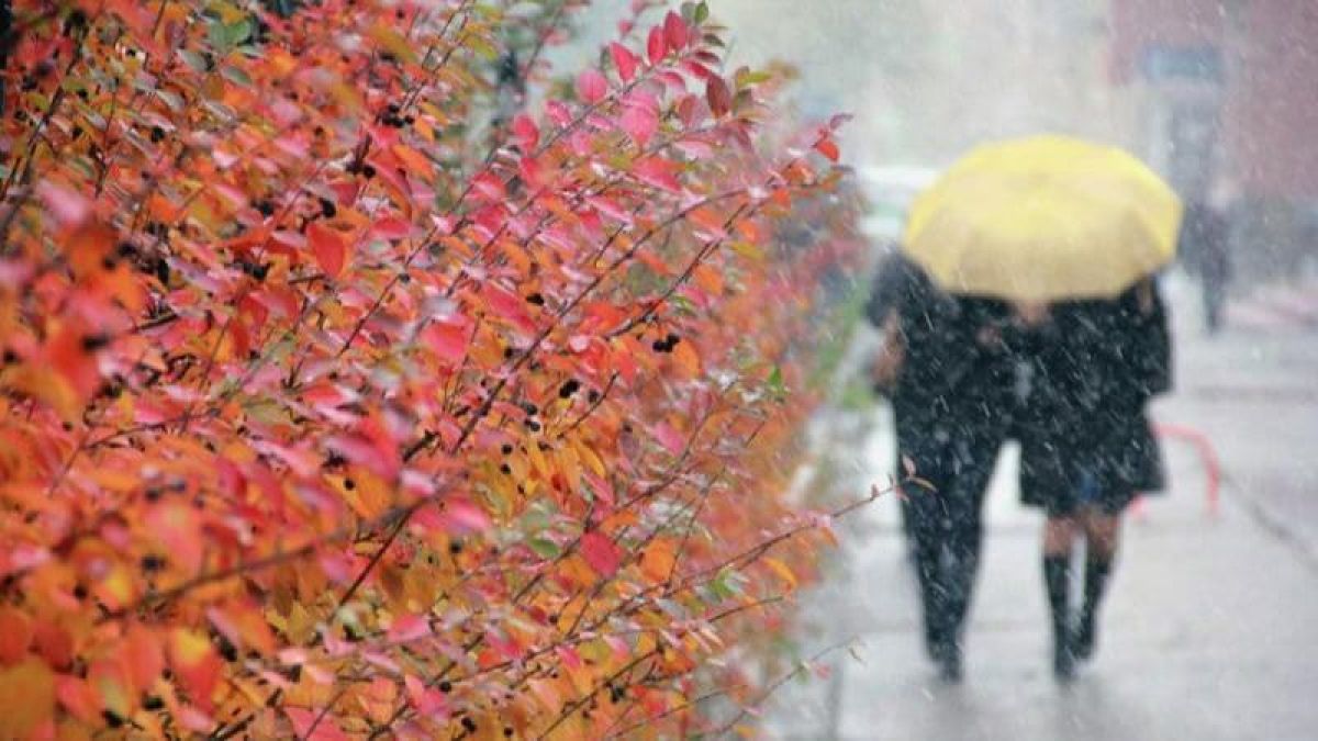 Мокрый снег и понижение температуры прогнозируют синоптики 29 октября на Алтае