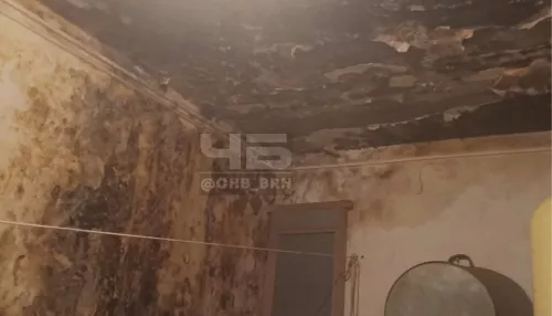 Жильцы барнаульского дома возмущаются отсутствием ремонта протекающей крыши