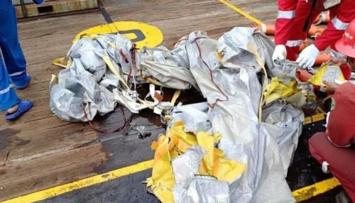 Все находившиеся на борту индонезийского лайнера погибли – эксперт